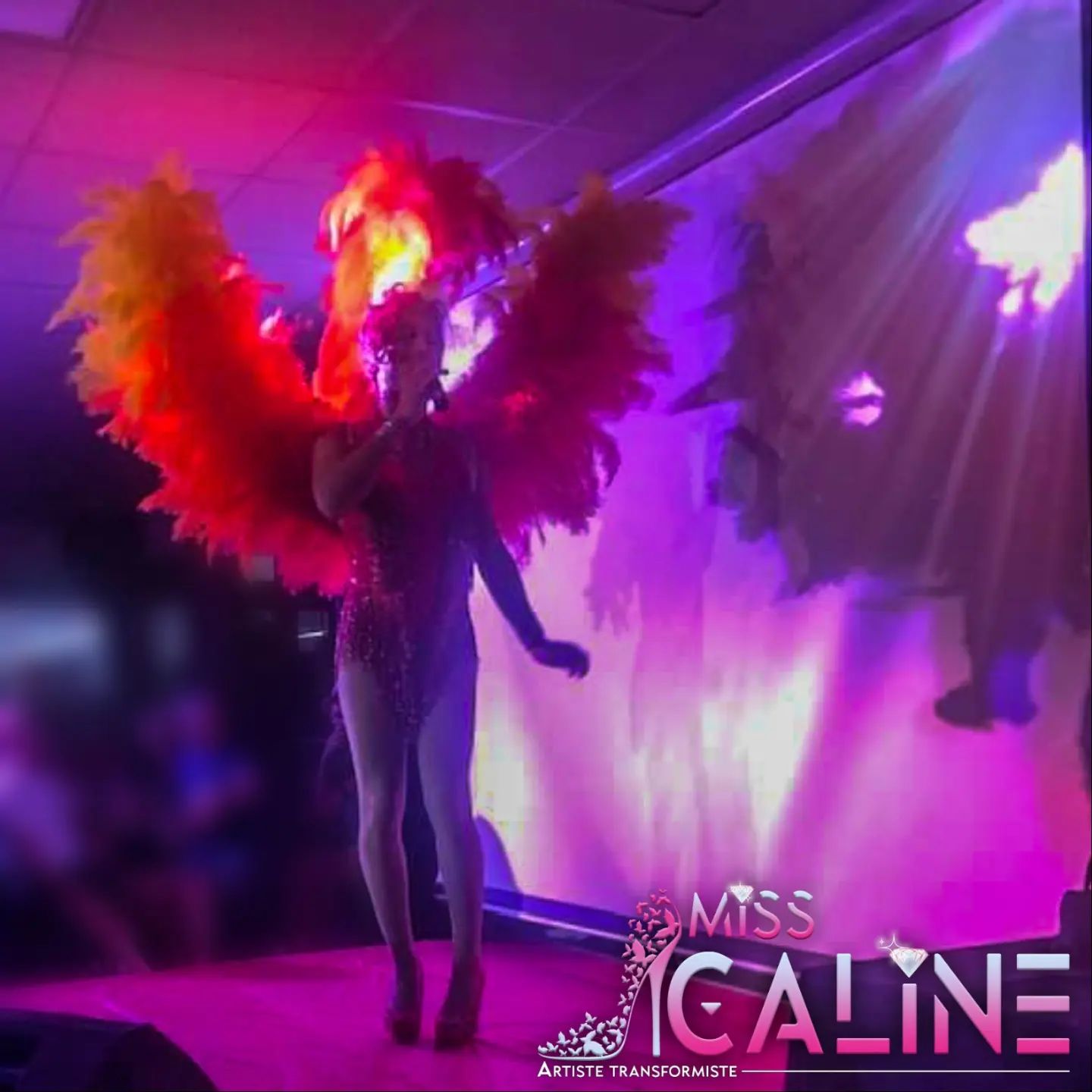 L'oiseau de Paris
Nous partageons des moments uniques avec vous !
@misscaline_transformiste
#messagedujour #professional #oiseau #creation #passion #art #inspiration #paris #parislanuit #parisbynight #cabaretshow #instartistes #artistsoninstagram #intermittentduspectacle #showtime #SpectacleVivant #culture #artiste #misscaline #intermittent #transformista #transformiste #artist #musichall #hautsdefrance #picardie #cabaret #spectacle #show #dragqueen