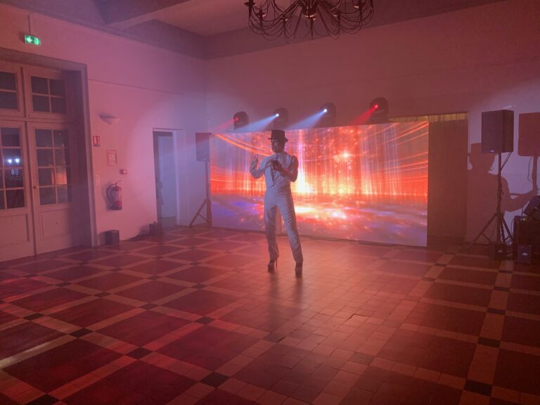 Caméléon, Shy'm, interprétation de Miss Caline au Domaine du Mont Rouge à Rogécourt, spectacle avec mur LED et fond de scène vidéo