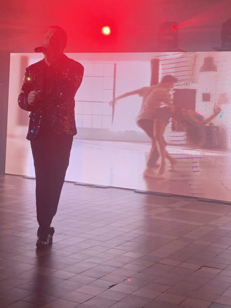 Pour que tu m'aime encore, interprétation de Tony Parkan au Domaine du Mont Rouge à Rogécourt, spectacle avec mur LED et fond de scène vidéo