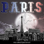 Le logo du spectacle Paris la nuit
