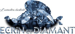 logo ecrin et diamant 2024