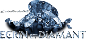 logo ecrin et diamant 2024