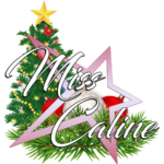 logo decembre 2024
