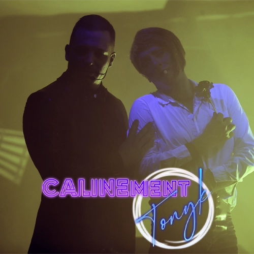 CALINEment TONYk le spectacle