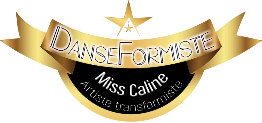 DanseFormiste le logo