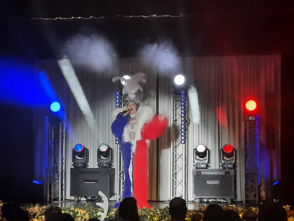Miss Caline - hymne national française - Paris la nuit