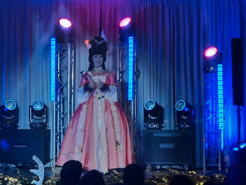 Miss Caline - tableau révolution Française - Paris la nuit