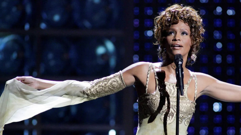 blog whitney houston disco