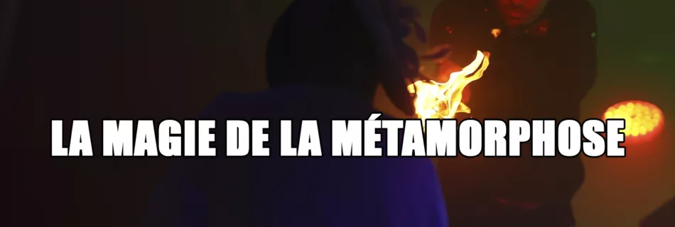 blog 2025 la magie de la metamorphose transformiste