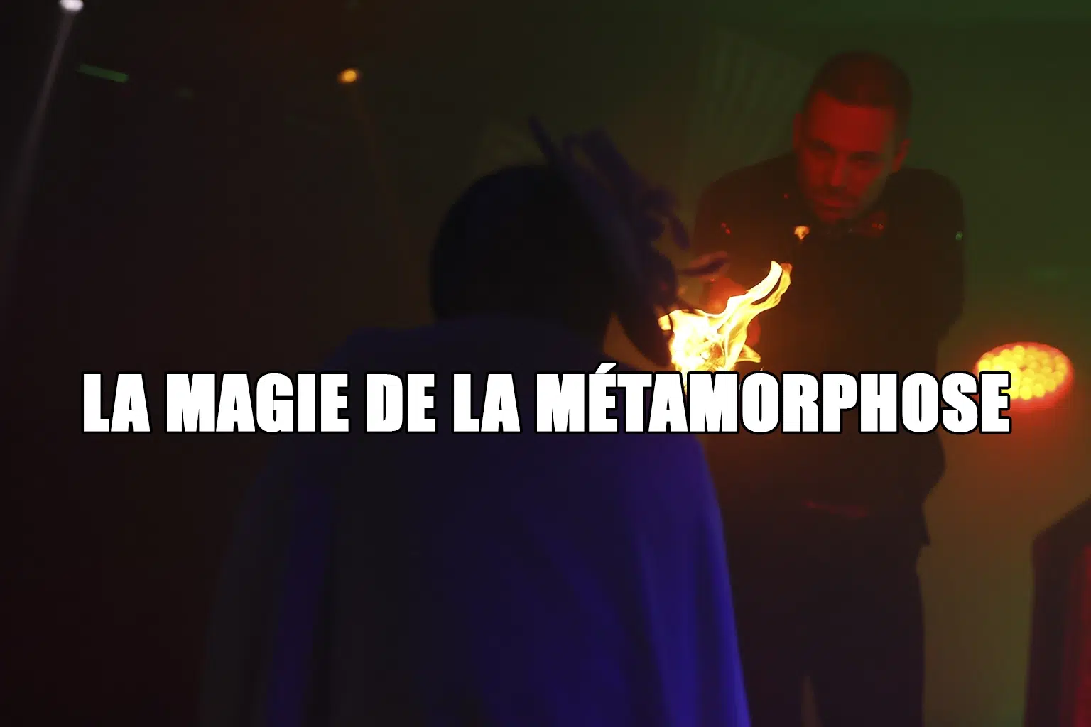 blog 2025 la magie de la metamorphose transformiste