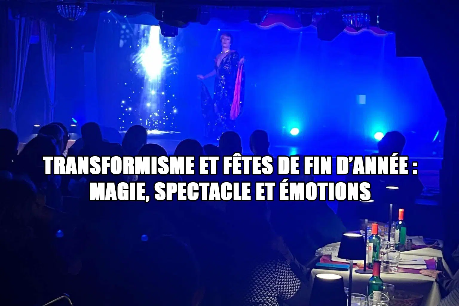 blog transformisme et fetes de fin dannee magie spectacle et emotions