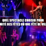 Quel spectacle choisir pour un comité des fêtes ou une fête de village