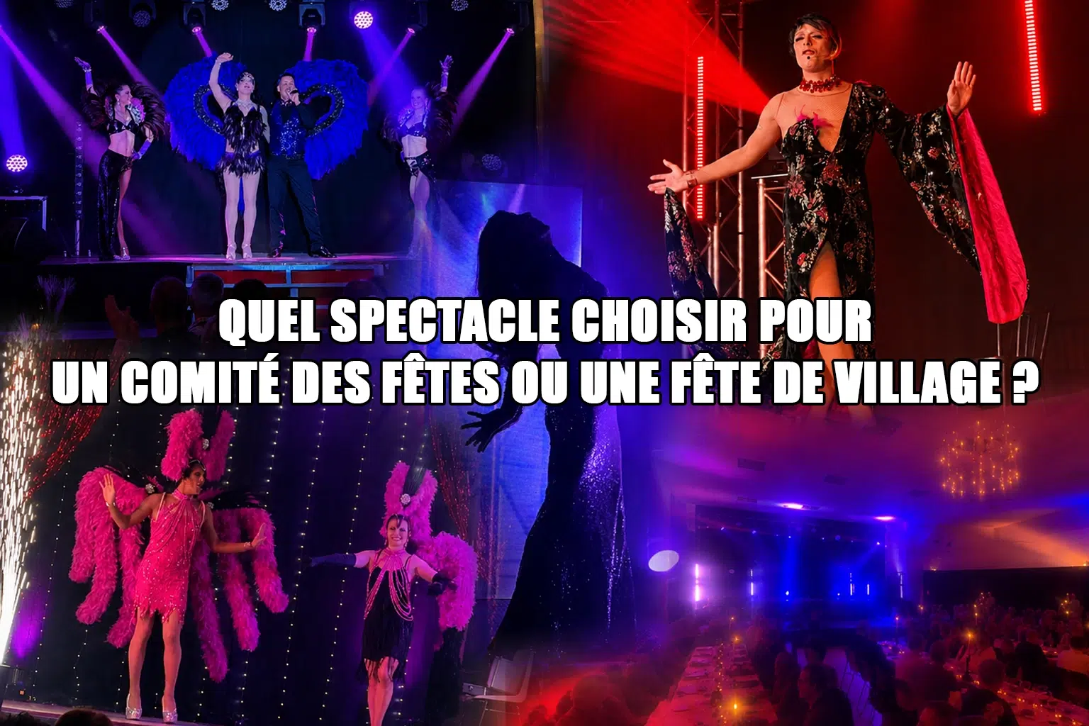 Quel spectacle choisir pour un comité des fêtes ou une fête de village