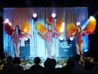 les stars angels oiseaux de paris paris la nuit les stars angels oiseaux de paris paris la nuit