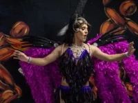 Plumes et transformiste de cabaret Plumes et transformiste de cabaret