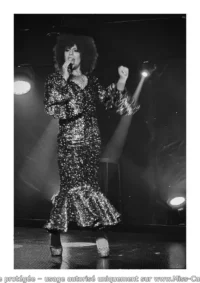 Disco transformiste Disco transformiste