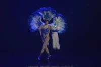 Transformiste plumes strass Transformiste plumes strass